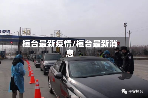 桓台最新疫情/桓台最新消息-第2张图片
