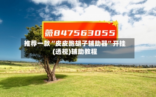 推荐一款“皮皮跑胡子辅助器”开挂(透视)辅助教程-第2张图片