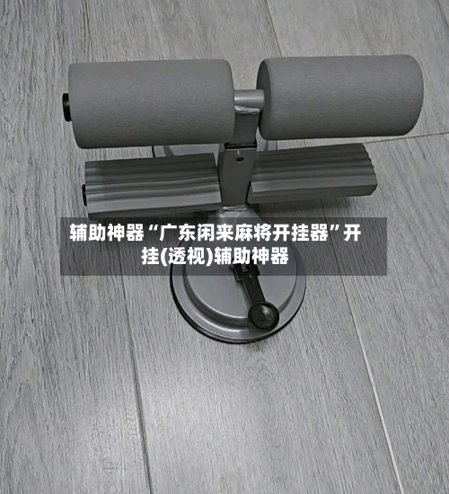 辅助神器“广东闲来麻将开挂器”开挂(透视)辅助神器-第1张图片