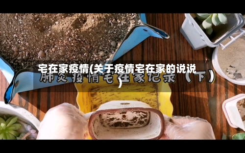 宅在家疫情(关于疫情宅在家的说说)-第1张图片