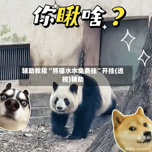 辅助教程“熊猫水水免费挂	”开挂(透视)辅助-第3张图片