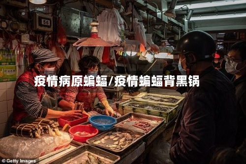 疫情病原蝙蝠/疫情蝙蝠背黑锅-第2张图片