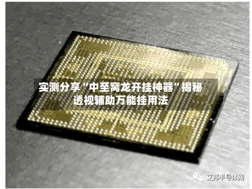 实测分享“中至窝龙开挂神器”揭秘透视辅助万能挂用法-第3张图片