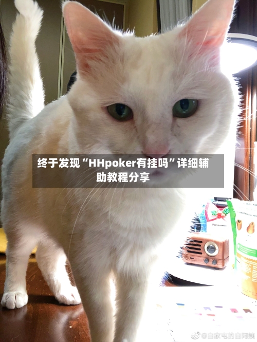 终于发现“HHpoker有挂吗	”详细辅助教程分享-第2张图片