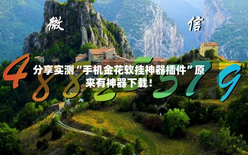 分享实测“手机金花软挂神器插件	”原来有神器下载！-第2张图片