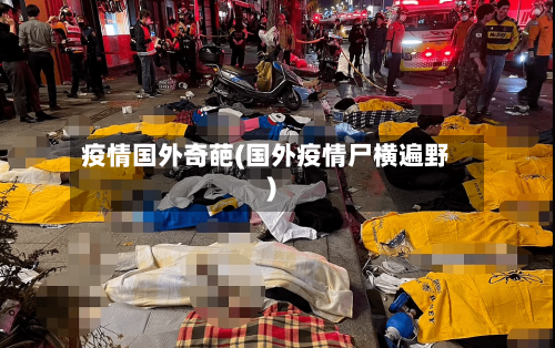 疫情国外奇葩(国外疫情尸横遍野)-第2张图片