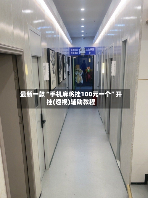 最新一款“手机麻将挂100元一个”开挂(透视)辅助教程-第2张图片