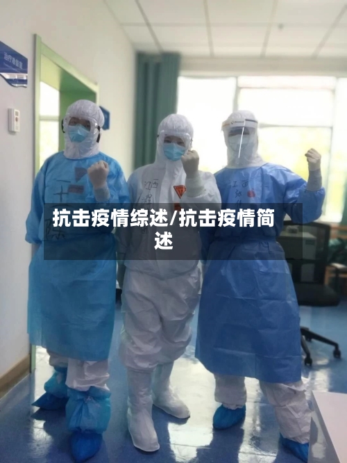 抗击疫情综述/抗击疫情简述-第2张图片