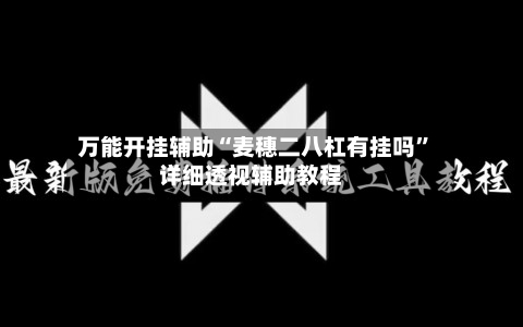 万能开挂辅助“麦穗二八杠有挂吗”详细透视辅助教程-第1张图片