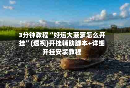 3分钟教程“好运大菠萝怎么开挂”(透视)开挂辅助脚本+详细开挂安装教程-第2张图片