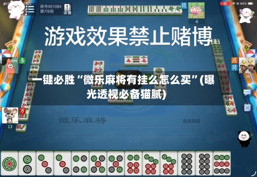 一键必胜“微乐麻将有挂么怎么买”(曝光透视必备猫腻)-第3张图片