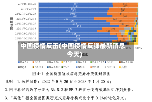 中国疫情反击(中国疫情反弹最新消息今天)-第3张图片