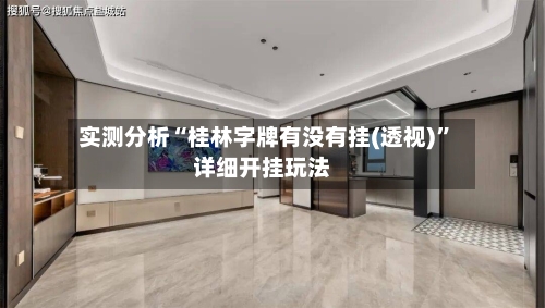 实测分析“桂林字牌有没有挂(透视)”详细开挂玩法-第1张图片