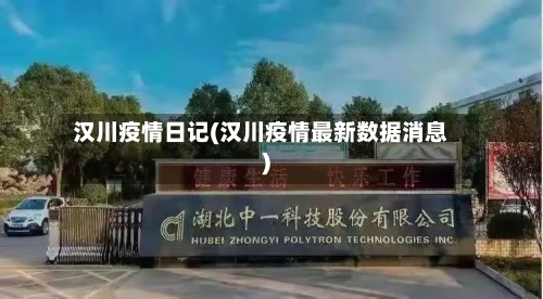 汉川疫情日记(汉川疫情最新数据消息)-第2张图片