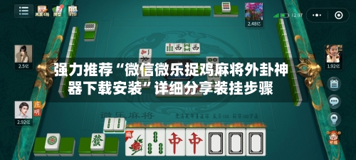 强力推荐“微信微乐捉鸡麻将外卦神器下载安装	”详细分享装挂步骤-第2张图片