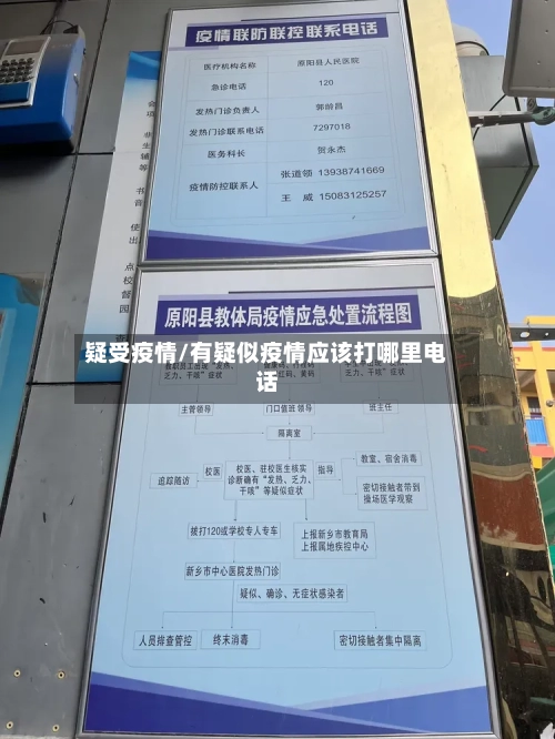 疑受疫情/有疑似疫情应该打哪里电话-第1张图片
