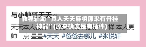 教程辅助“真人天天麻将原来有开挂神器”(原来确实是有插件)-第1张图片