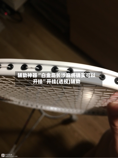 辅助神器“白金岛长沙麻将确实可以开挂”开挂(透视)辅助-第1张图片