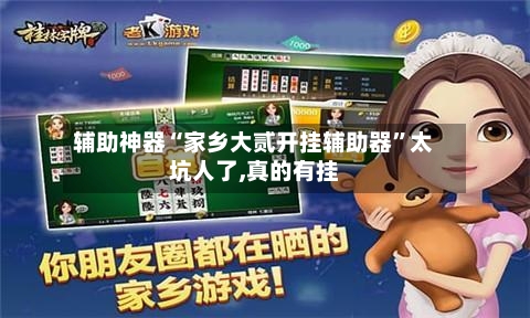 辅助神器“家乡大贰开挂辅助器	”太坑人了,真的有挂-第1张图片