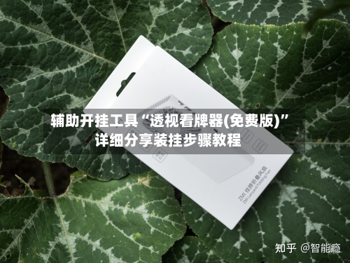 辅助开挂工具“透视看牌器(免费版)	”详细分享装挂步骤教程-第3张图片