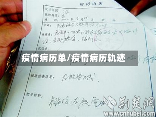 疫情病历单/疫情病历轨迹-第3张图片