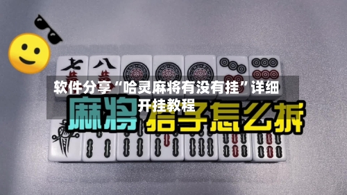 软件分享“哈灵麻将有没有挂	”详细开挂教程-第2张图片