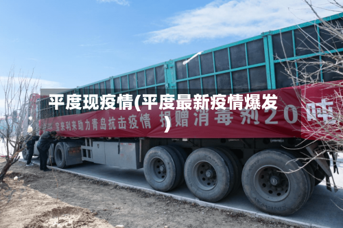平度现疫情(平度最新疫情爆发)-第2张图片