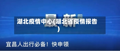湖北疫情中心(湖北省疫情报告)-第3张图片