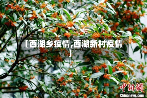 【西湖乡疫情,西湖新村疫情】-第1张图片
