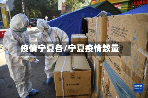 疫情宁夏各/宁夏疫情数量-第2张图片