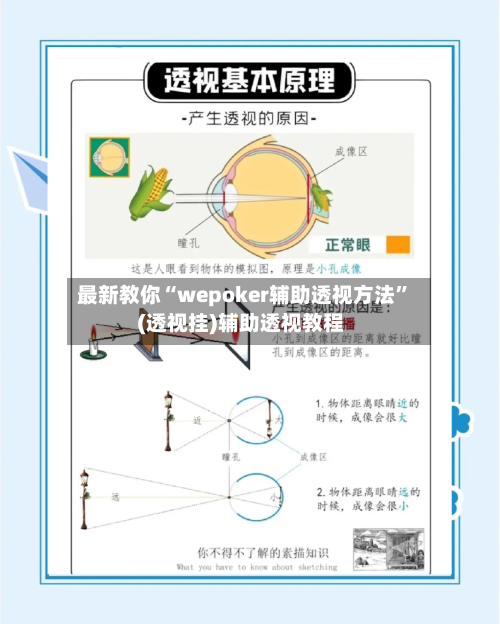 最新教你“wepoker辅助透视方法	”(透视挂)辅助透视教程-第2张图片