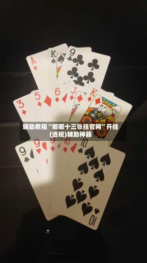 辅助教程“嘟嘟十三张挂官网	”开挂(透视)辅助神器-第3张图片