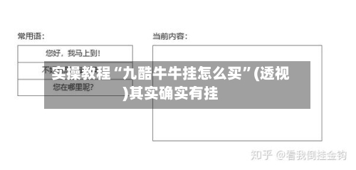 实操教程“九酷牛牛挂怎么买	”(透视)其实确实有挂-第2张图片