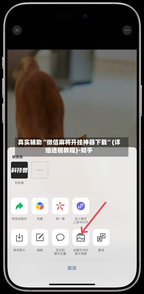 真实辅助“微信麻将开挂神器下载”(详细透视教程)-知乎-第3张图片