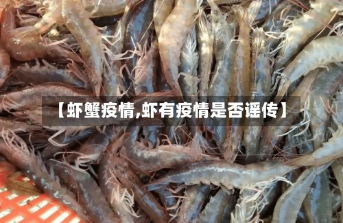 【虾蟹疫情,虾有疫情是否谣传】-第1张图片