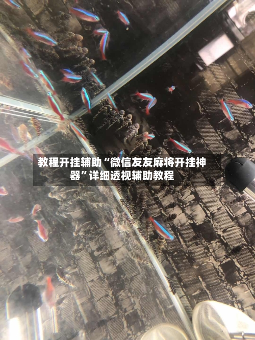 教程开挂辅助“微信友友麻将开挂神器”详细透视辅助教程-第1张图片