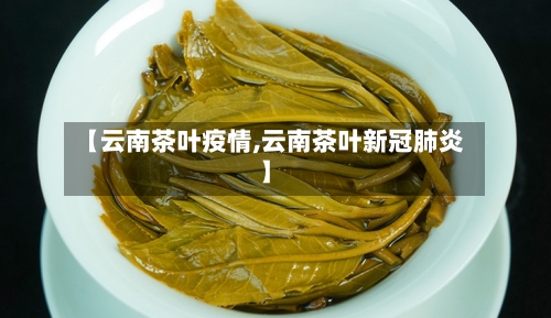 【云南茶叶疫情,云南茶叶新冠肺炎】-第2张图片