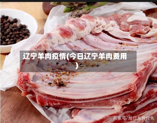 辽宁羊肉疫情(今日辽宁羊肉费用)-第1张图片