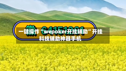 一键操作“wepoker开挂辅助”开挂科技辅助神器手机-第1张图片