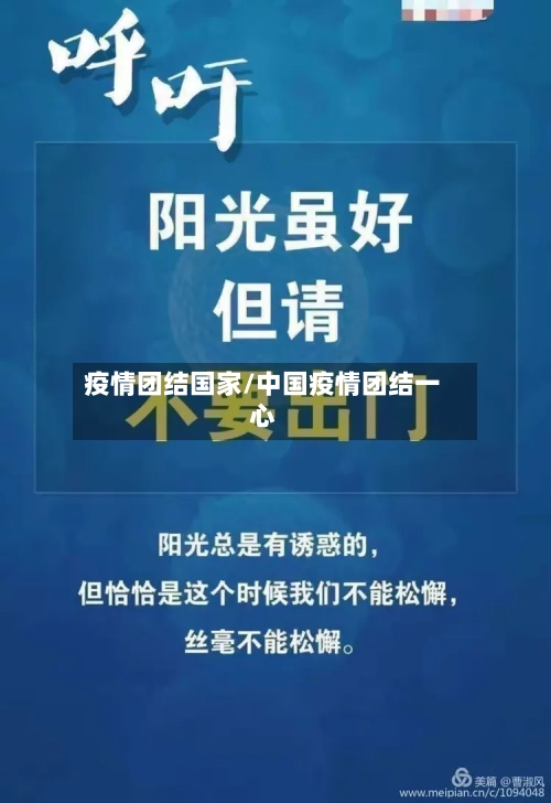 疫情团结国家/中国疫情团结一心-第2张图片