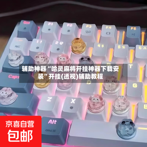 辅助神器“哈灵麻将开挂神器下载安装”开挂(透视)辅助教程-第3张图片