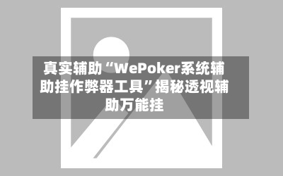 真实辅助“WePoker系统辅助挂作弊器工具”揭秘透视辅助万能挂-第3张图片