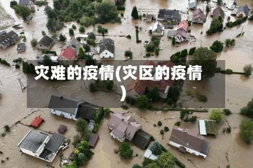 灾难的疫情(灾区的疫情)-第1张图片
