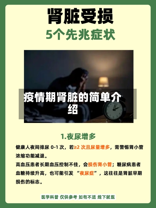 疫情期肾脏的简单介绍-第1张图片