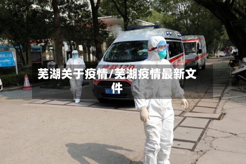 芜湖关于疫情/芜湖疫情最新文件-第2张图片