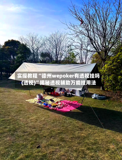 实操教程“德州wepoker有透视挂吗(透视)”揭秘透视辅助万能挂用法-第2张图片
