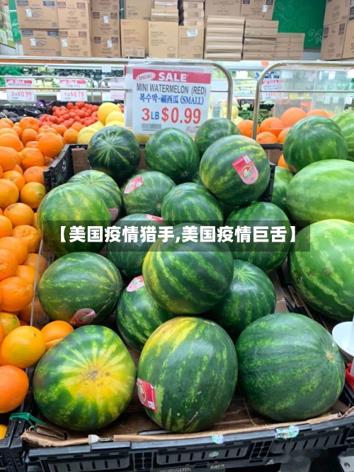 【美国疫情猎手,美国疫情巨舌】-第2张图片