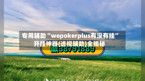 专用辅助“wepokerplus有没有挂”开挂神器{透视辅助}全揭秘-第1张图片