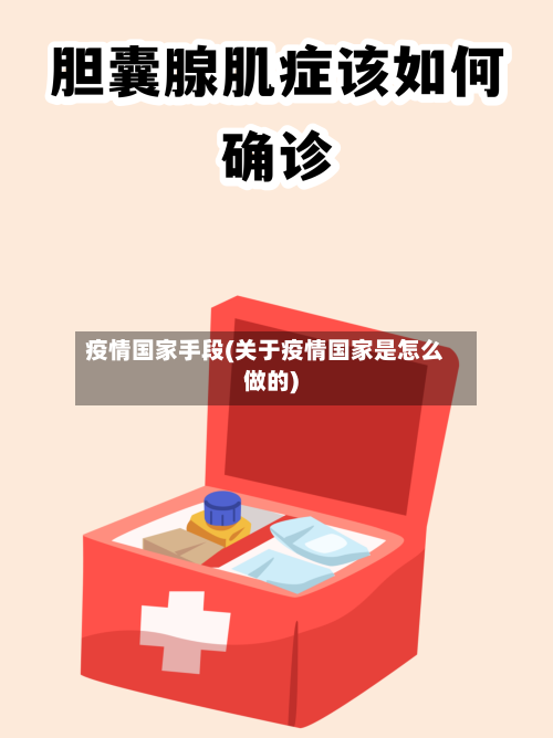 疫情国家手段(关于疫情国家是怎么做的)-第1张图片