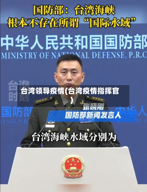 台湾领导疫情(台湾疫情指挥官)-第3张图片